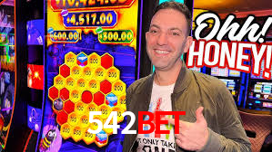Sinta a adrenalina dos jogos de cassino com 542bet